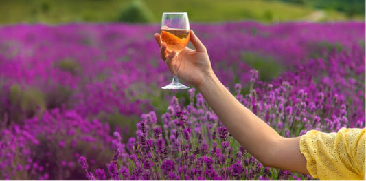 I migliori vini rosati per l’estate: dall’Abruzzo alla Provenza - Tannico