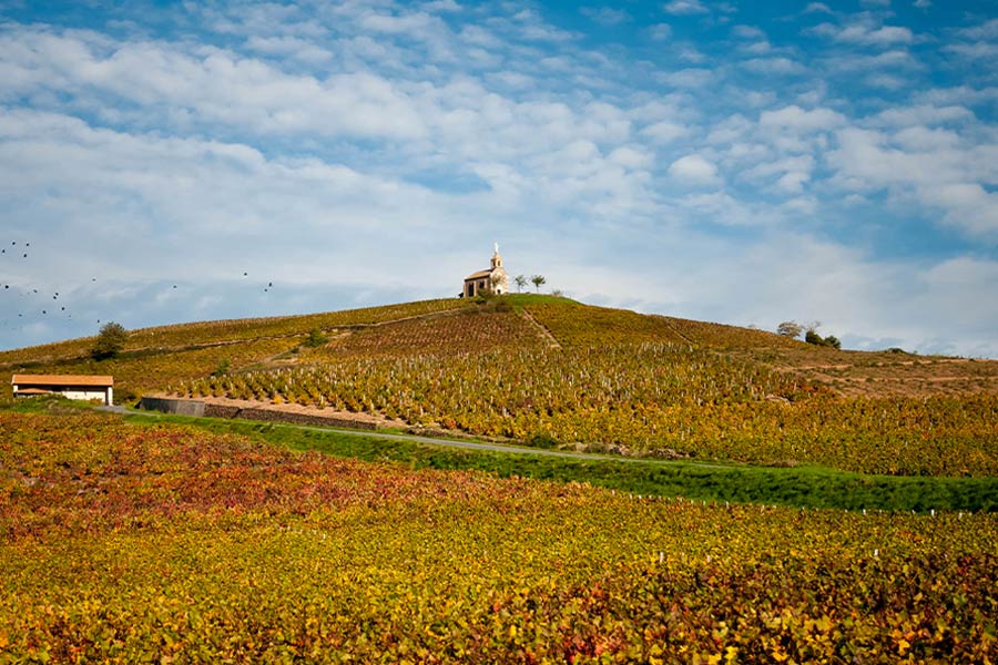 Domaine de la Madone