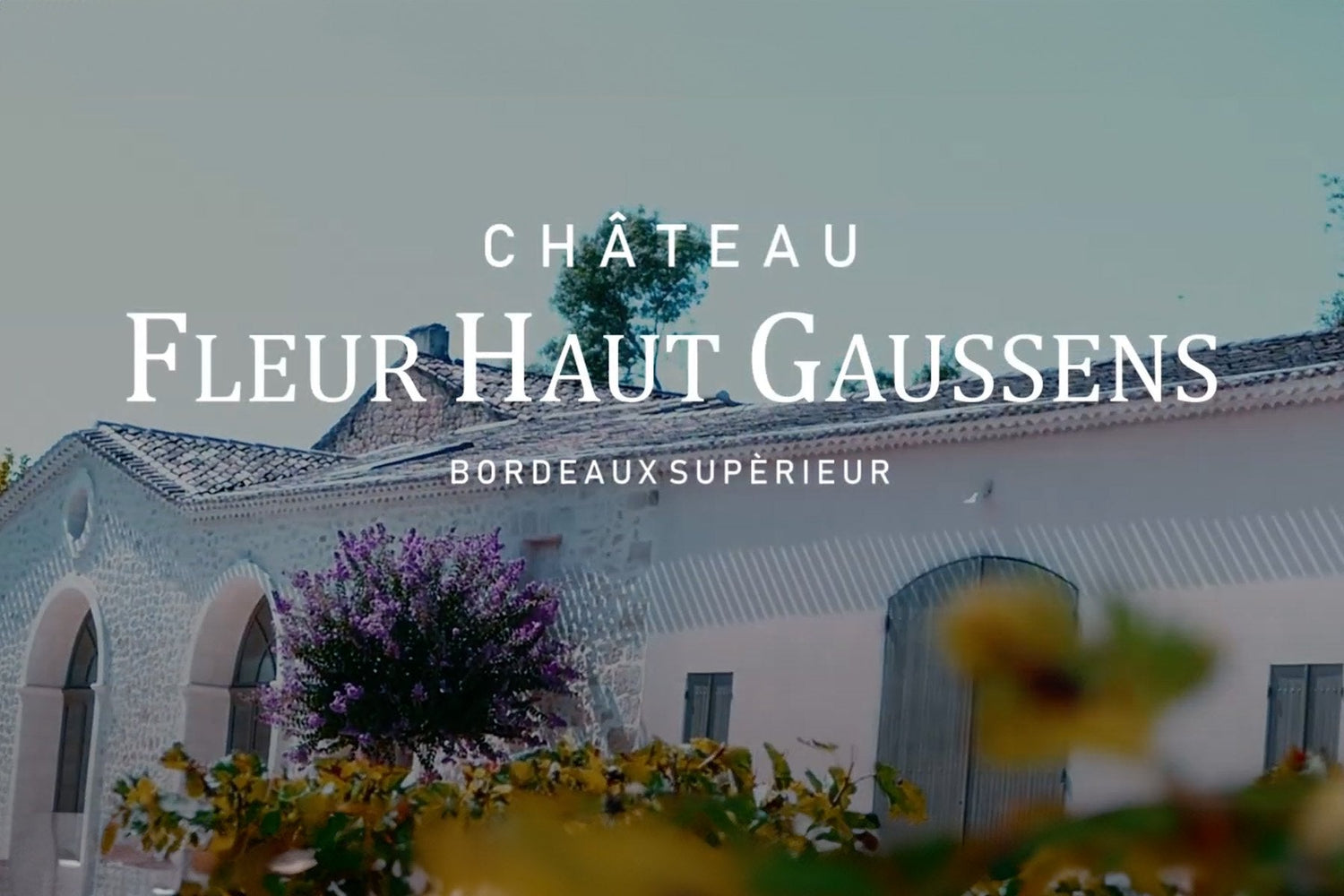 Château Fleur Haut Gaussens