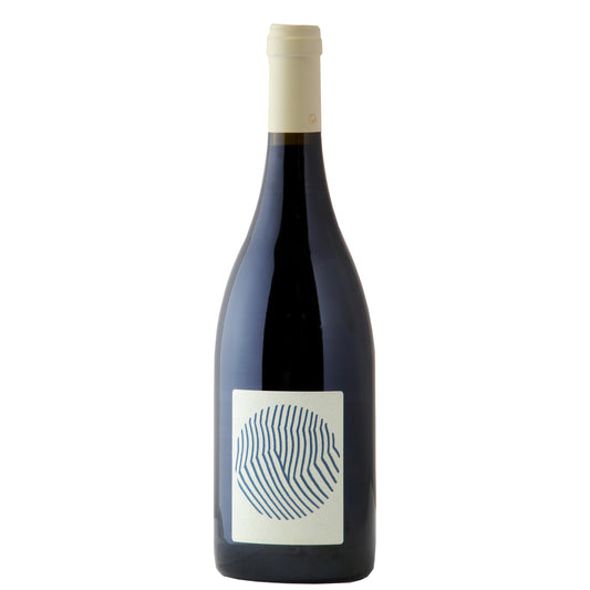 Saumur-Champigny "Beauregard" 2022 - Domaine Des Sanzay