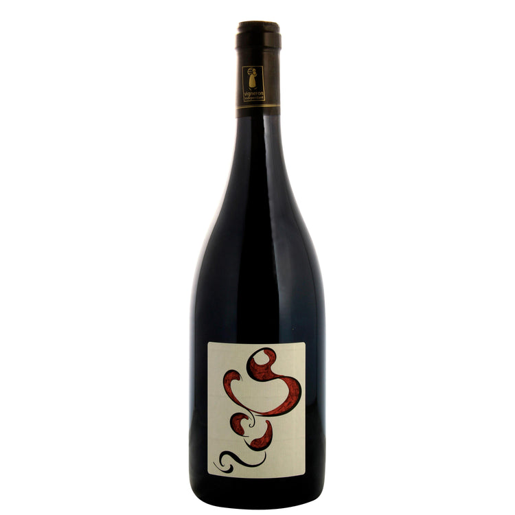 Saumur-Champigny "Les Dares" 2023 - Domaine Des Sanzay