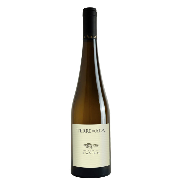 Umbria Bianco IGT "Terre di Ala" 2024 - Paolo e Noemia d'Amico