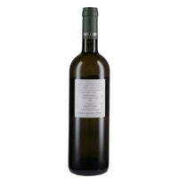 Marche Bianco IGT "di Gino" 2025 - Fattoria San Lorenzo