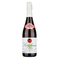 Lambrusco di Sorbara Frizzante Secco DOC "Omaggio a Gino Friedmann" - Cantina di Sorbara