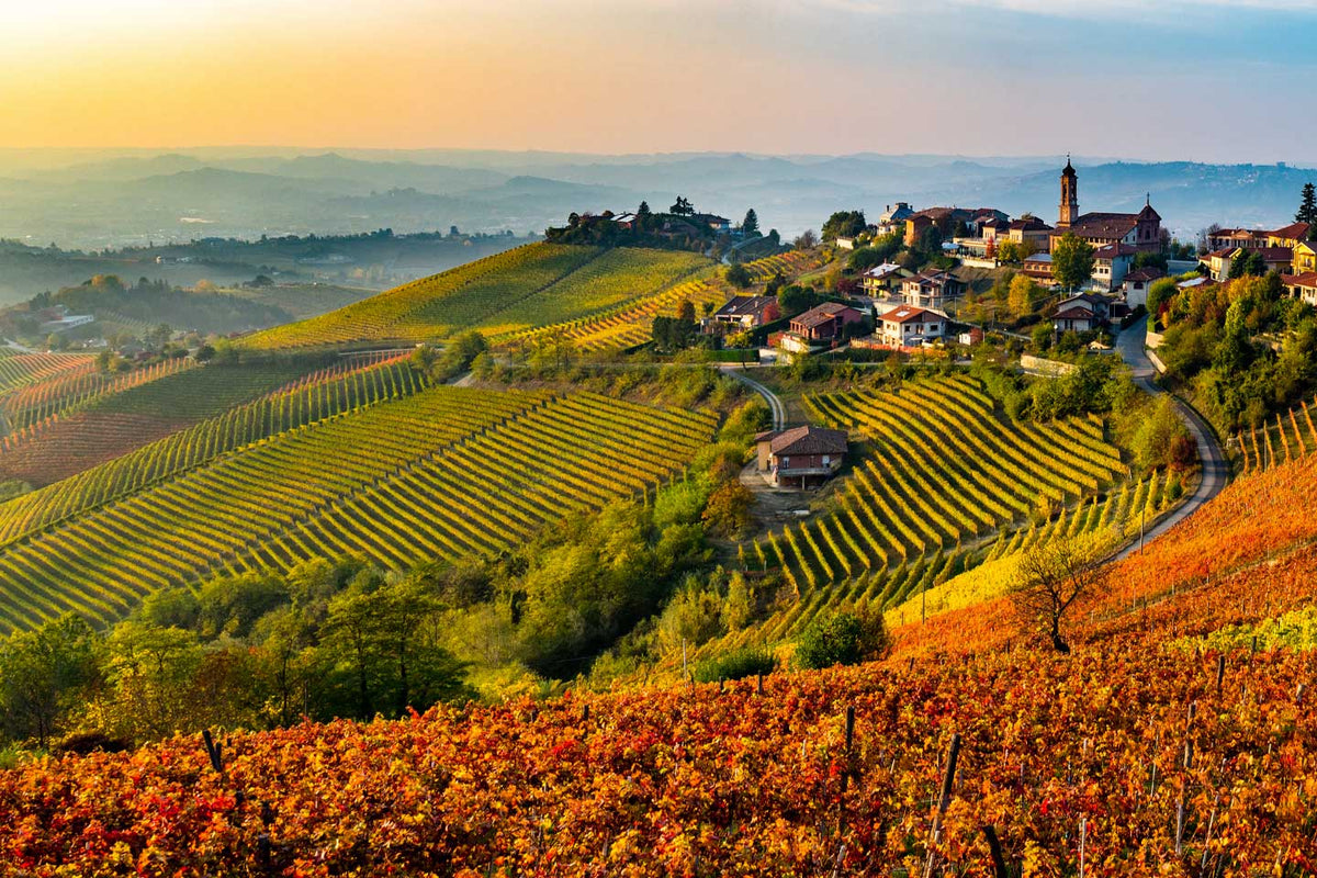 Wijnen uit de Langhe