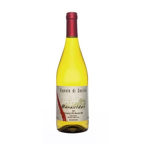 Veneto Bianco IGT "Benavides" 2023 - Vignale di Cecilia