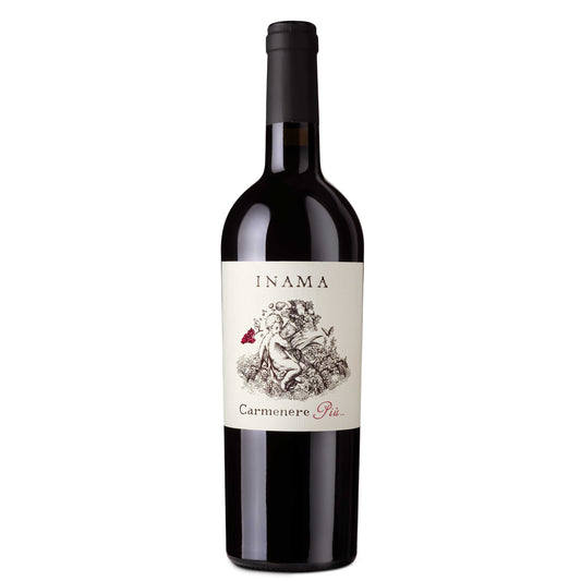 Veneto Rosso IGT "Carmenere Più" 2022 - Inama
