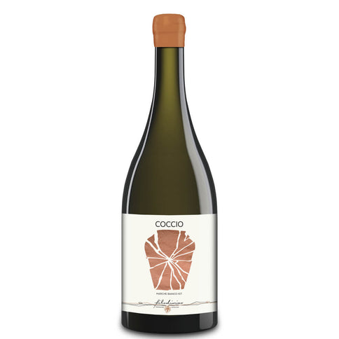 Marche Bianco Macerato IGT "Coccio" 2022 - Filodivino