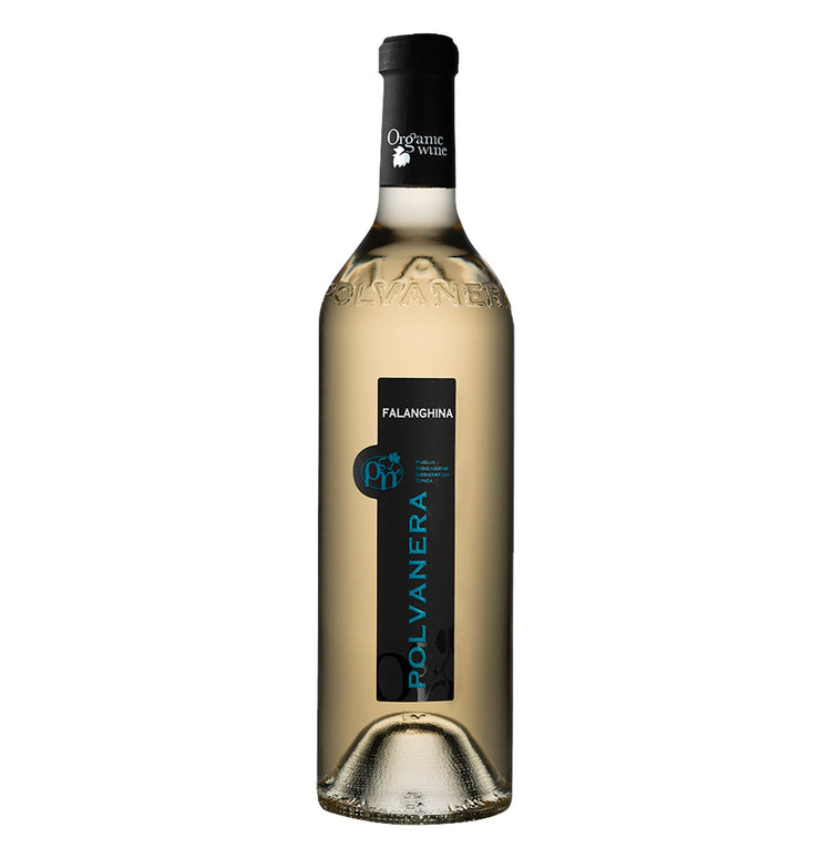 Puglia Falanghina IGT 2025 - Polvanera