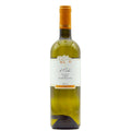 Marche Bianco IGT “Le Oche” 2024 - Fattoria San Lorenzo