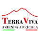Trebbiano d’Abruzzo DOC 2023 - Terraviva