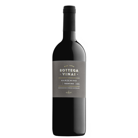 Trentino Marzemino DOC 2024 - Bottega Vinai