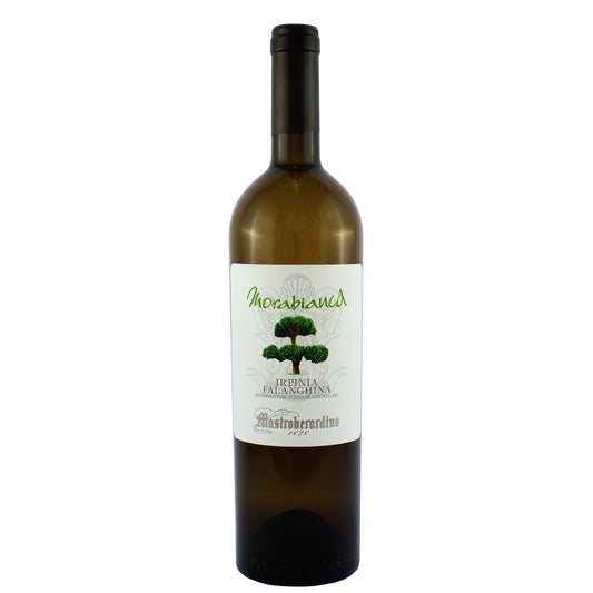 Irpinia Falanghina DOC "Morabianca" 2024 - Mastroberardino