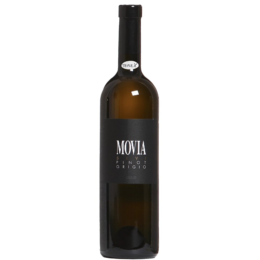 Pinot Grigio 2023 - Movia