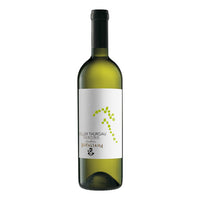 Trentino Müller Thurgau DOC 2025 - Cantina Rotaliana