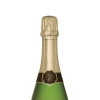 Crémant de Bourgogne Pinot Noir Brut 2023 Magnum - Bailly Lapierre
