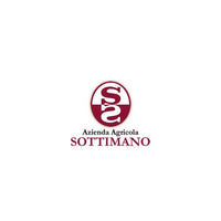 Langhe Nebbiolo DOC 2024 - Sottimano