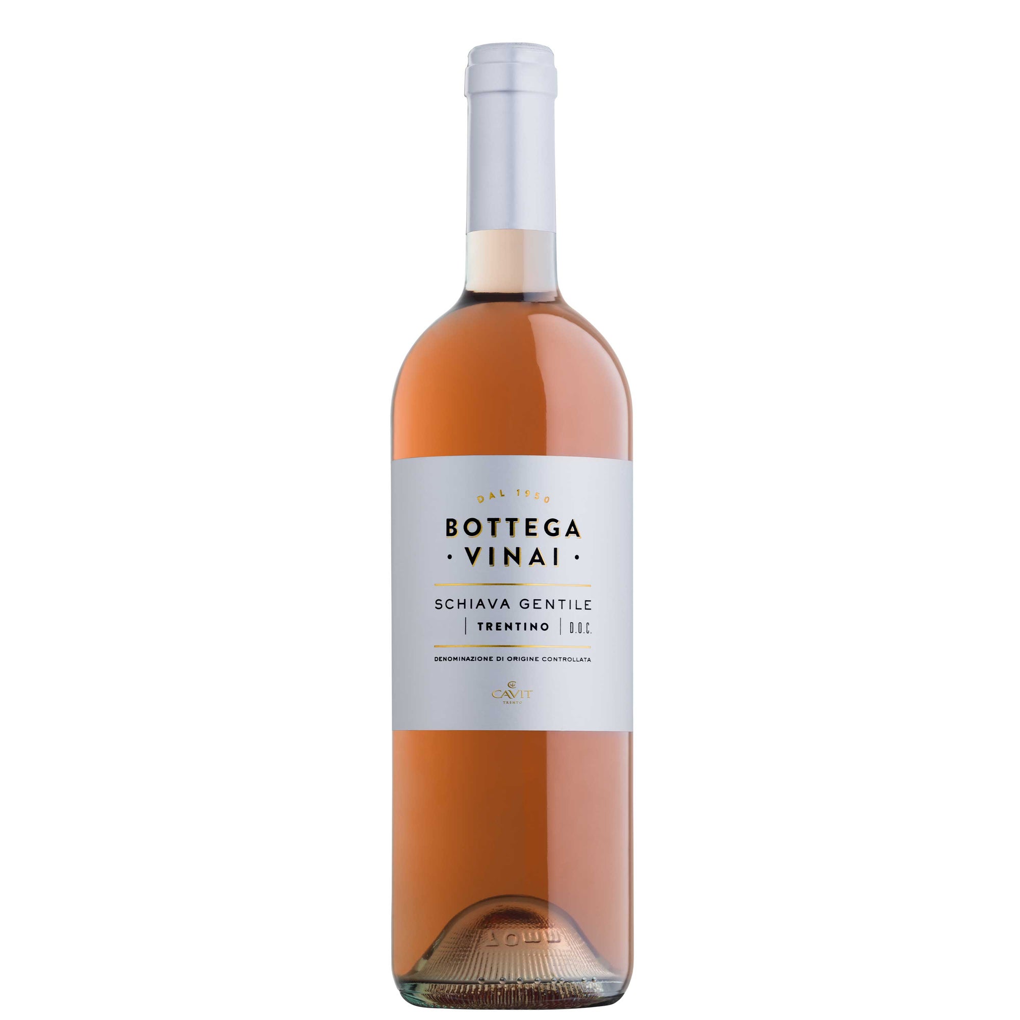 Trentino DOC Schiava Gentile 2025 - Bottega Vinai