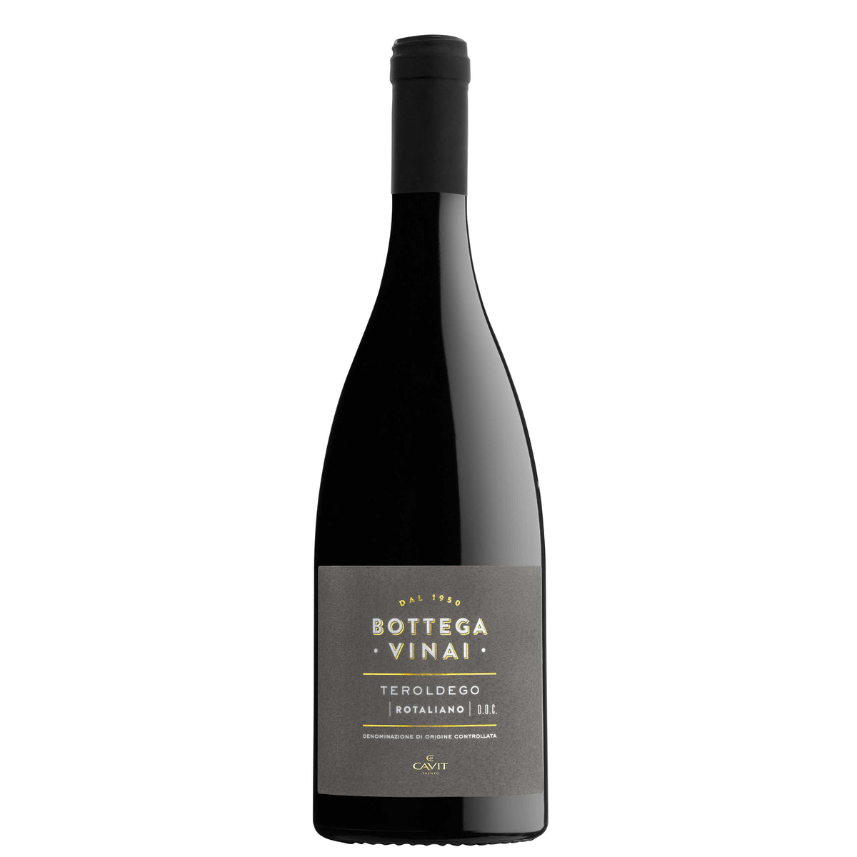 Trentino Teroldego Rotaliano DOC 2023 - Bottega Vinai